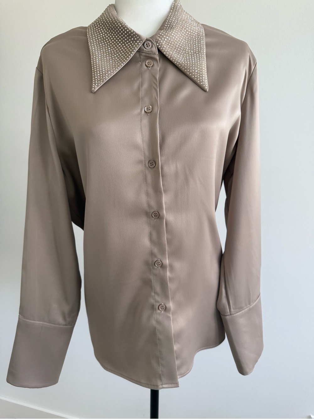 Embellished Collar Taupe Button-Front Blouse